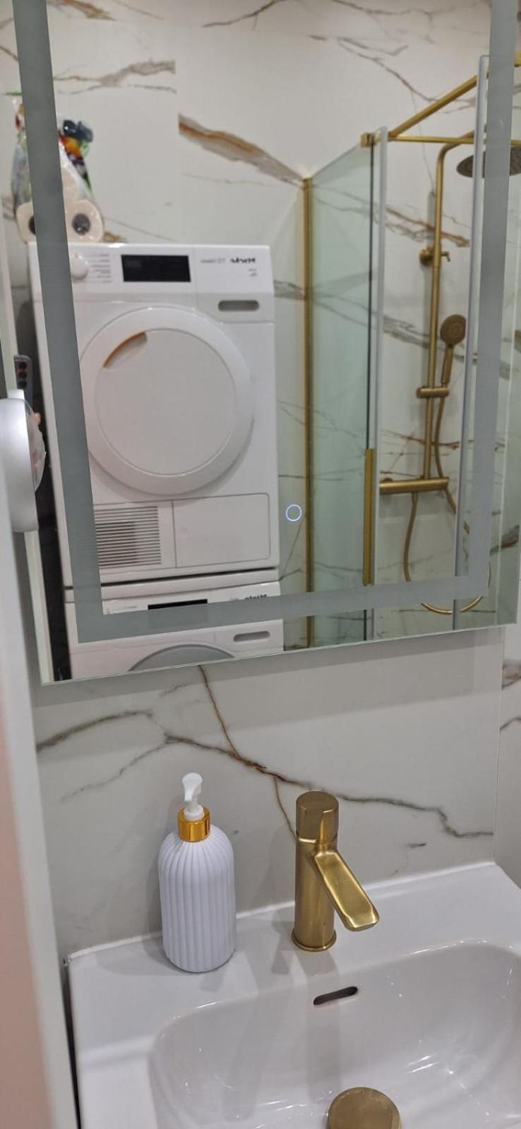 Msc Apartments Chorzow Centrum Kültér fotó